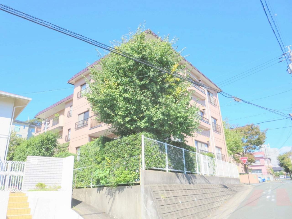 メゾン・ド・ルミエール その他8