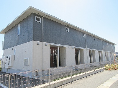 エヴァーグリーン その他1