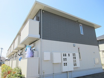 エヴァーグリーン その他2