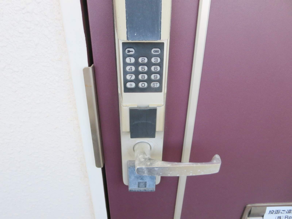 ＮＡＶＯＮＡ その他17