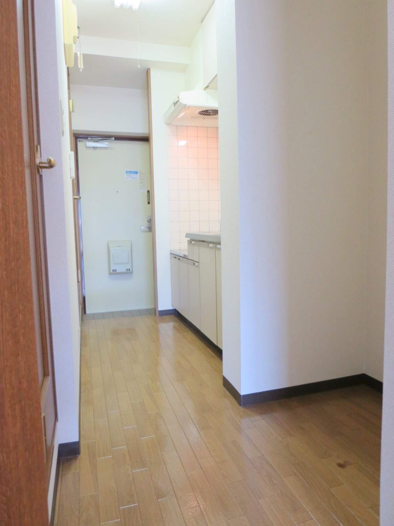 ＮＡＶＯＮＡ その他24