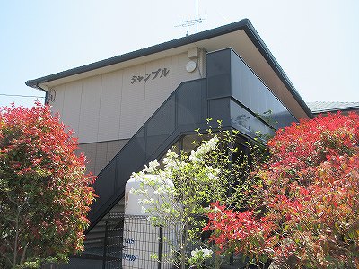 シャンブル その他7