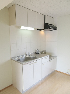 Ｒｅ・Ｌｕｆｆｙ その他4