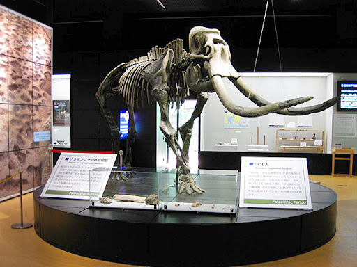 グレース名倉 周辺画像7