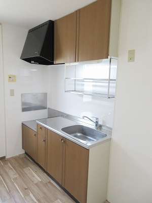 アネーロＦＸ その他4