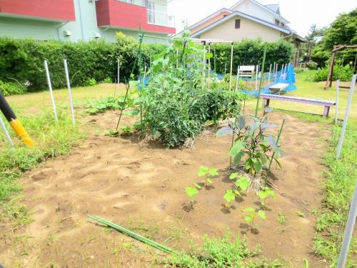 コリーナベルデ その他17