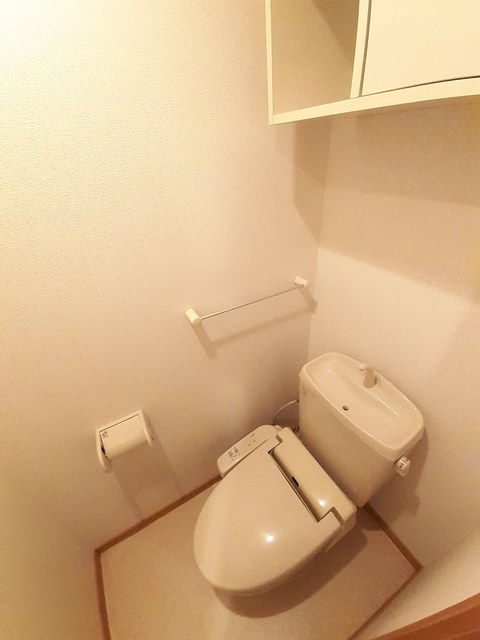 プラシードⅡ その他3