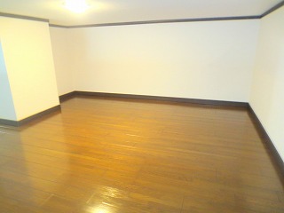 ドルフＫ その他12