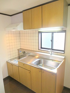 ドルフＫ その他15