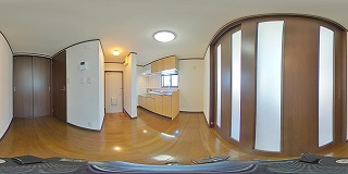 ドルフＫ その他28