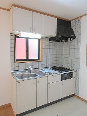 ダイアナ・グレースＡ その他4