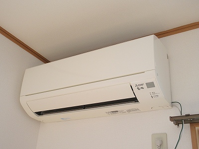 ダイアナ・グレースＡ その他11