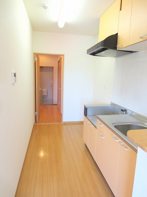 ラパノス その他25