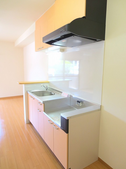 ラパノス その他4