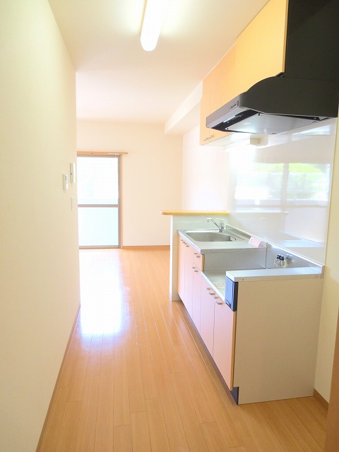 ラパノス その他19