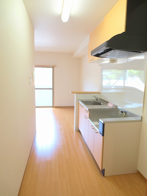 ラパノス その他17