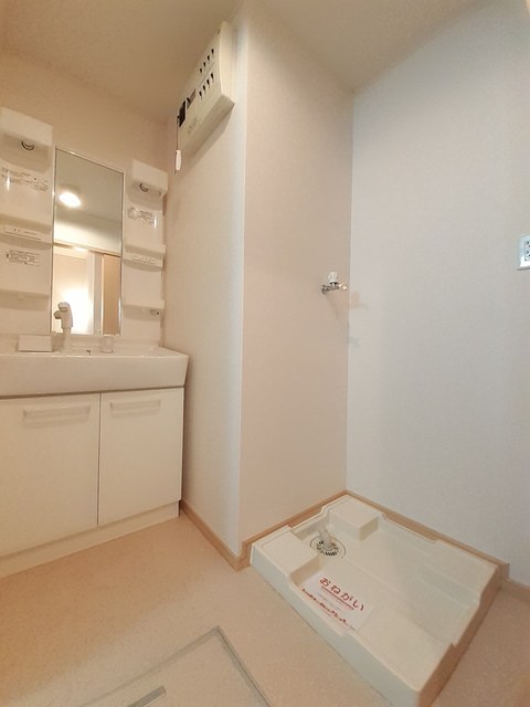 エヴァーグリーン その他2