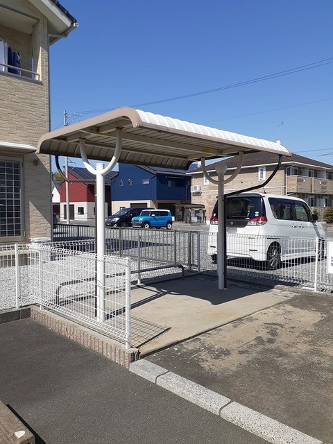 エヴァーグリーン その他7