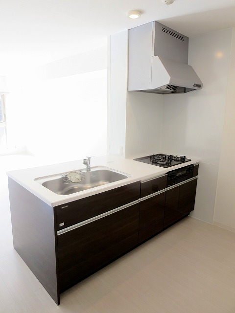 インテグラＤ その他4