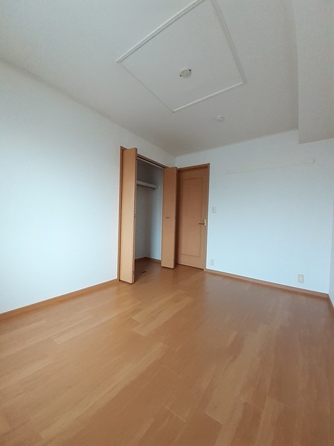 ＳｏｕｔｈＳｕｎＦｌｏｗｅｒ その他1