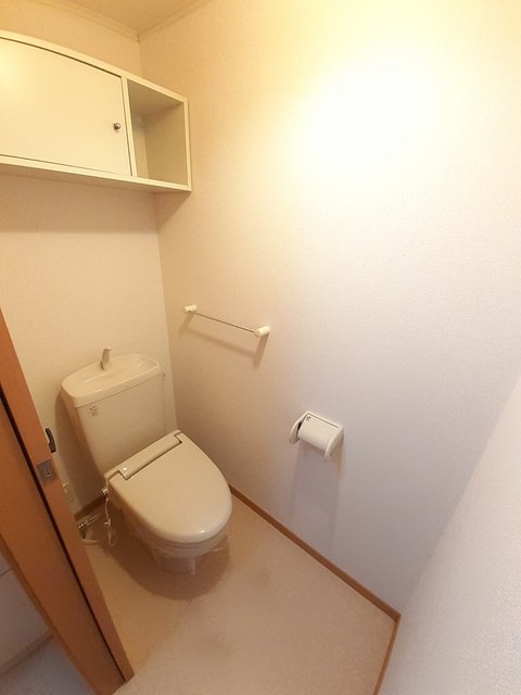 ＳｏｕｔｈＳｕｎＦｌｏｗｅｒ その他3