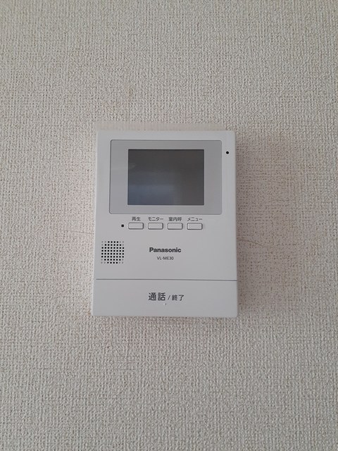 ＳｏｕｔｈＳｕｎＦｌｏｗｅｒ その他5