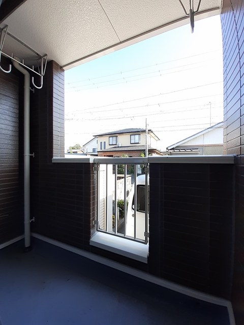 ＳｏｕｔｈＳｕｎＦｌｏｗｅｒ ベランダ