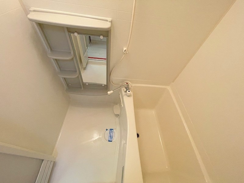 ピュアドルフ その他5