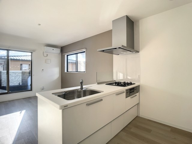 シン・グリーンコーポ その他4