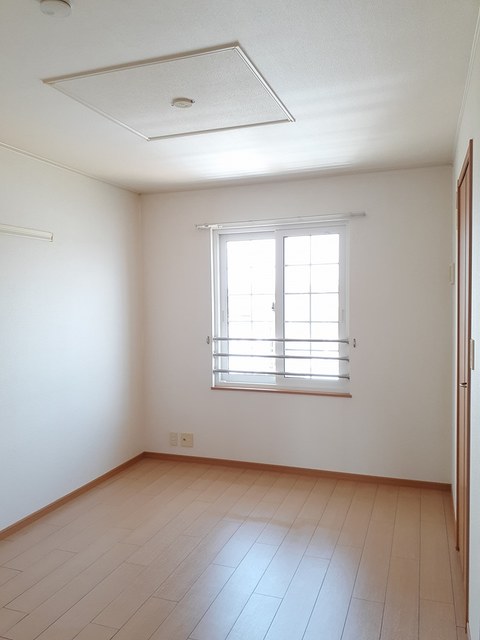 ＳｏｕｔｈＳｕｎＦｌｏｗｅｒ その他1