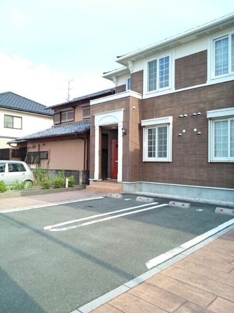 ＳｏｕｔｈＳｕｎＦｌｏｗｅｒ その他6