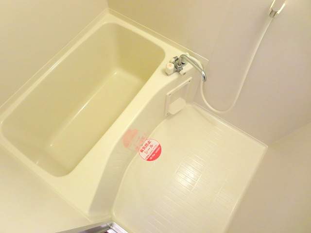 ＮＡＶＯＮＡ その他5