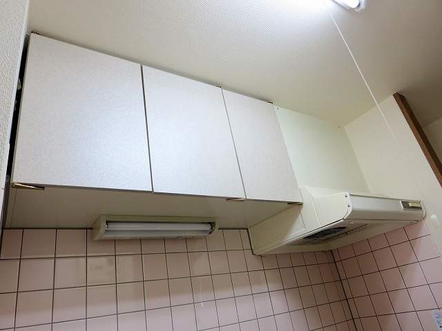 ＮＡＶＯＮＡ その他20