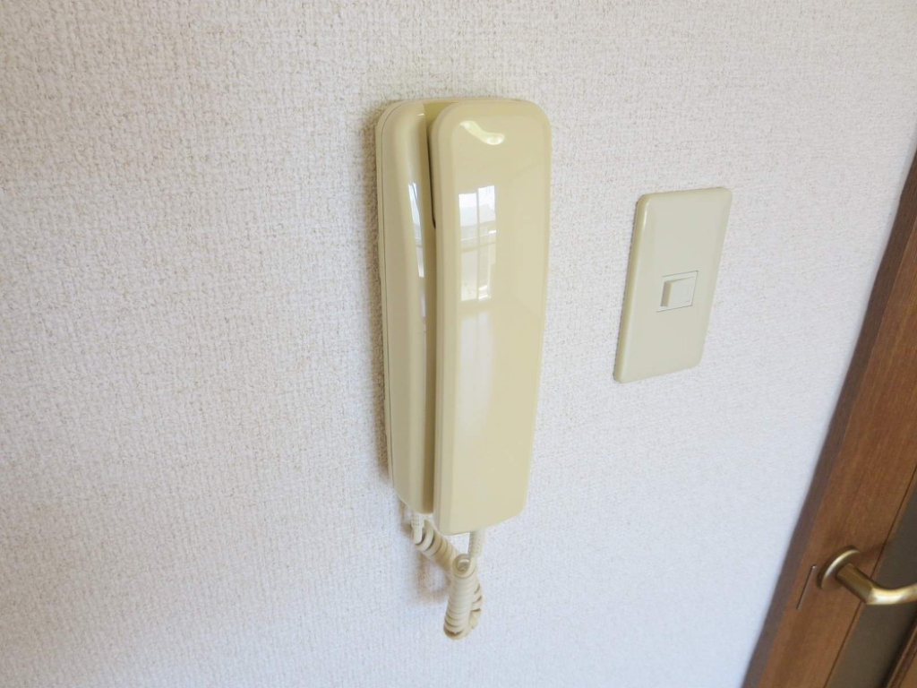 ＮＡＶＯＮＡ その他24