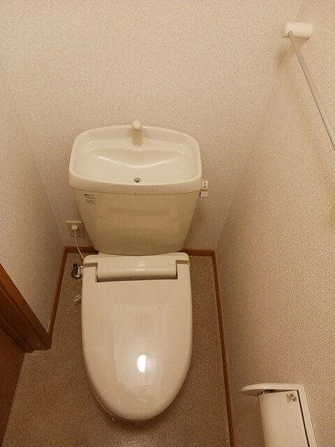 プリムローズトモ　Ｂ その他3