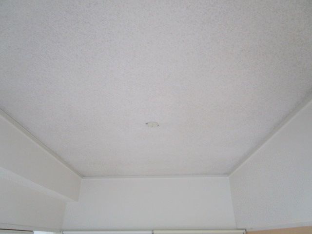 Lake　Garda（レイクガルダ） その他26