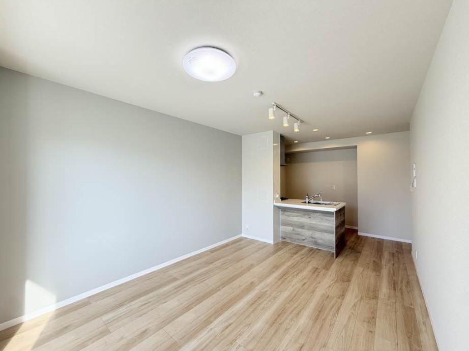 ＡＸＩＳ助信 その他3