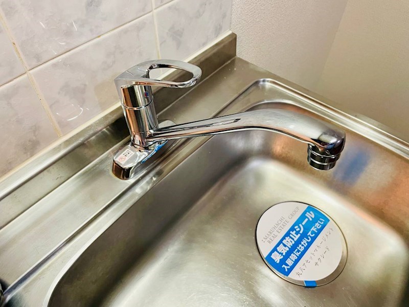 レイクビレッジⅢ その他10