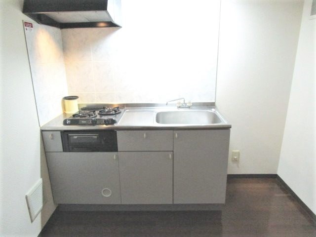 レイクビレッジⅢ その他12