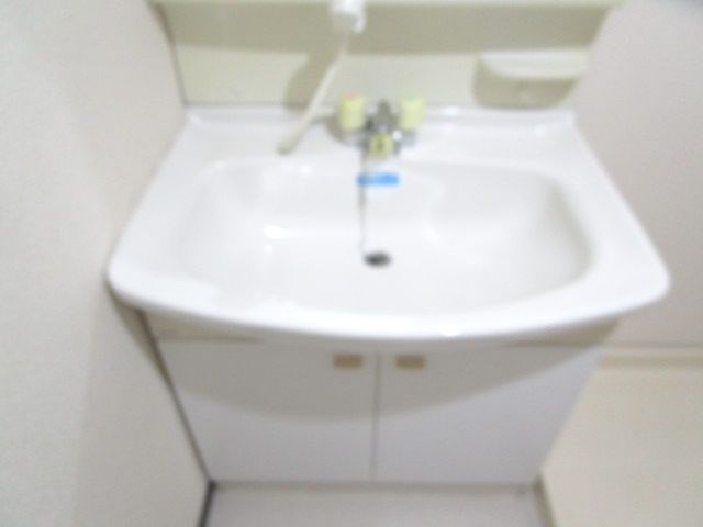 レイクビレッジⅢ その他14