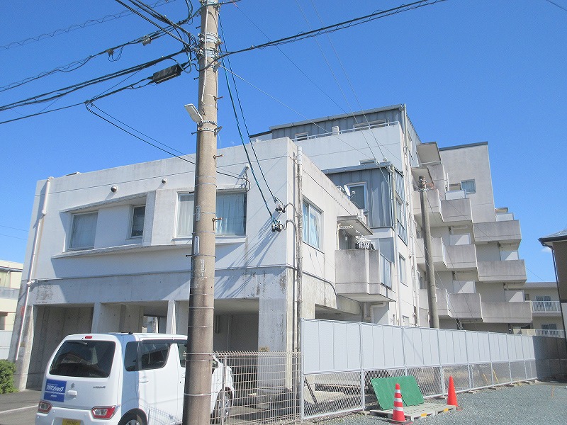 エヴァグリーン その他1