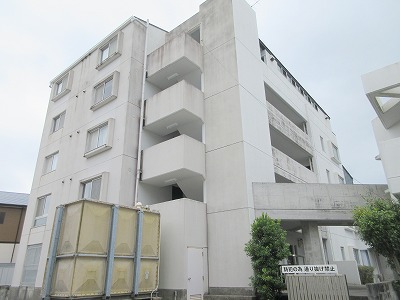 エヴァグリーン その他7