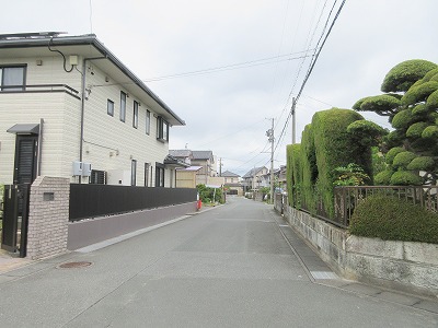 エヴァグリーン その他9