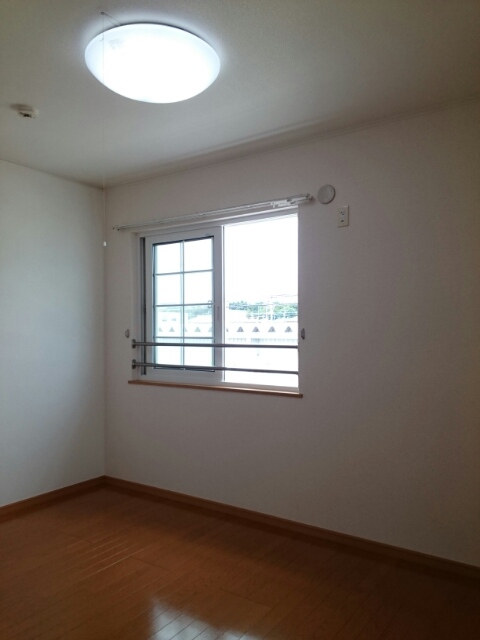 メンフィス その他1