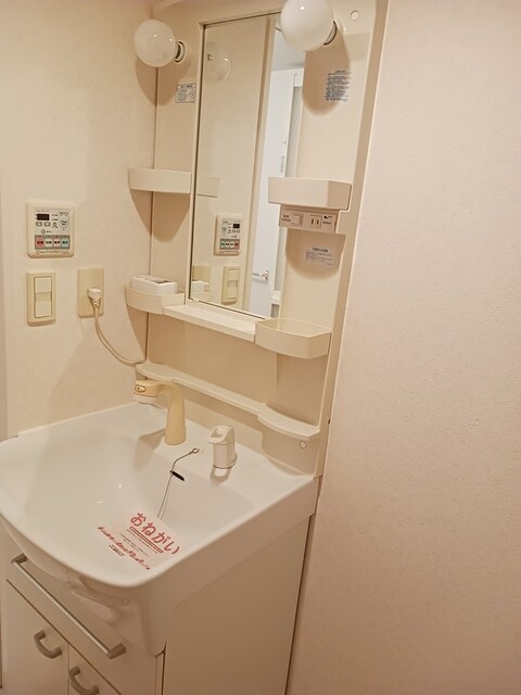 プラシードⅡ その他2