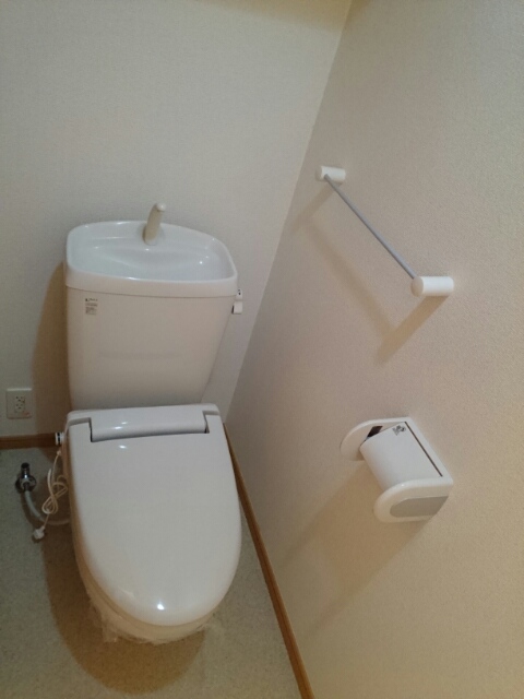 エルミタージュ その他4