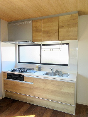 ディアス・ブリッツァＢ その他4