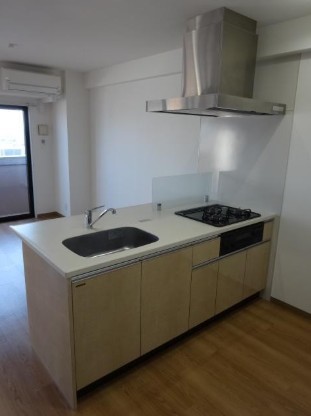 パストール その他4