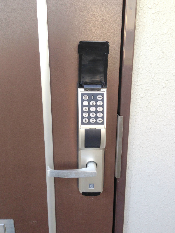 Ｌｕｐｉｎｕｓ その他1