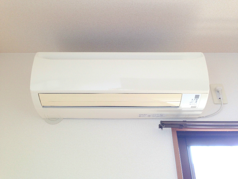 Ｌｕｐｉｎｕｓ その他3